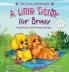 A Little Sister for Brady: A Story About Accepting & Embracing Change: 3 (Little Labradoodle)
