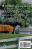 Secrets of Willow Springs - Book 2