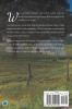Secrets of Willow Springs - Book 1