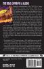 The Real Cowboys & Aliens: Old West UFOs (1865-1895): 2