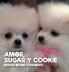 Amor Sugar y Cookie