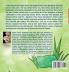 The Wish Box: 5 (Grumpy the Iguana and Green Parrot Adventures)