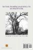 The Safe Tree: Friendship Triumphs (Stella's Game Trilogy)