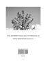 Blossoms of My Desert Home: A collection of photography art & poetry