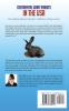 Continental Giant Rabbits in USA: The ultimate guide for breeders exhibitors and pet owners