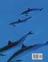 Discover Hawai'i's Marine Mammals