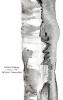 Relationship: A Poetry Book