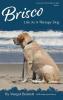 Brisco Life As A Therapy Dog