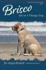 Brisco Life As A Therapy Dog