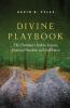Divine Playbook: The Christian's Path to Success Financial Freedom and Fulfillment