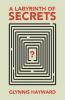 A Labyrinth of Secrets