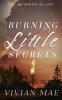 Burning Little Secrets