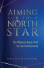 Aiming for Your North Star: The 4 Phases to Reach Liftoff for Your Growth Journey