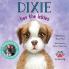 Dixie Has the Ickies