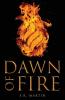 Dawn of Fire: 1 (Tribes of Fire)