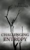 Challenging Entropy