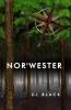 NOR'WESTER
