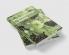 Phytopathology in Plants