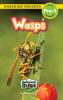 Wasps