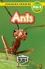 Ants