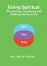 Going Spiritual: Discovering Developing and Healing a Spiritual Life
