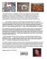 scapes to behold - a photographic anthology