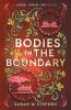 Bodies in the Boundary