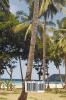 History of the Philippine Islands (from Their Discovery by Magellan in 1521 to the Beginning of the XVII Century; With Descriptions of Japan China a