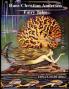 The Fairy Tales of Hans Christian Andersen (Illustrated by Edna F. Hart)