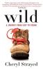 Wild A Journey from Lost to Found
