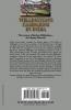 Wellington's Campaigns in India
