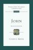 John: Tyndale New Testament Commentary (Tyndale New Testament Commentaries)