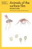 Animals of the surface film
