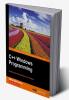 C++ Windows Programming