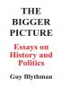 The Bigger Picture: Essays on History and Politics