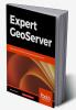 Expert GeoServer