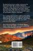 Wrangled: Large Print: 2 (Steele Ranch)