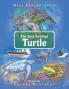 The Very Terrified Turtle