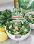 Lean and Green Diet Cookbook 2021: 550+ Satisfying & Healthy Lean and Green Recipes to Improve Your Wellness and Quick Weight Loss