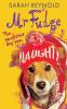 Mr Fudge
