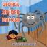 George the Spider and the Diamond