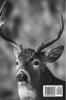 The Animal Book: A variety of animal habitats