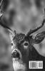 The Animal Book: A variety of animal habitats