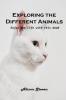 Exploring the Different Animals