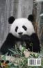 Wild animals: Discover the animals
