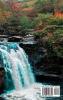 Beautiful Nature: A gorgeous collection of photos