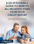 A Do-It-Yourself Guide To Remove All Negative Items From Your Credit Report: The Best Guide To Fixing Your Credit Rating