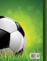 Soccer Coaching: For professional coaches