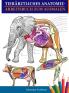 Tierärztliches Anatomie-Arbeitsbuch zum Ausmalen: Tierphysiologie-Arbeitsbuch zum Ausmalen mit Selbsttest zum Lernen und Entspannen Das perfekte ... und Erwachsene (German Edition)