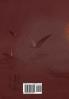 ALLEGIANCE: The New World Series Book Three: 3